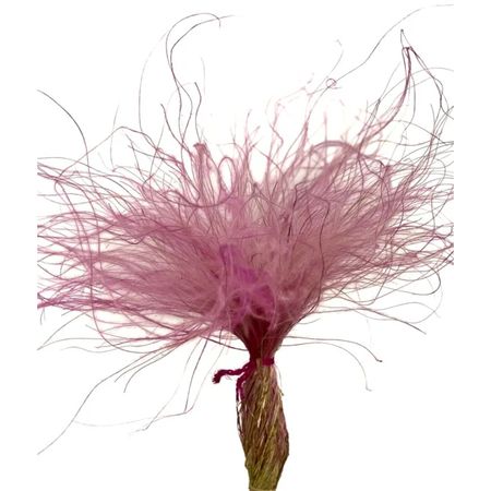 Сухоцвет Donna Flor стифа ковыль 25 г, кремово-розовый, 40 см