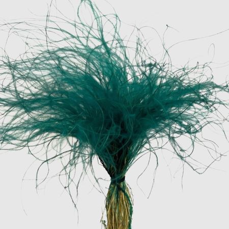 Сухоцвет Donna Flor стифа ковыль 25 г, тиффани, бирюзовый, 40 см