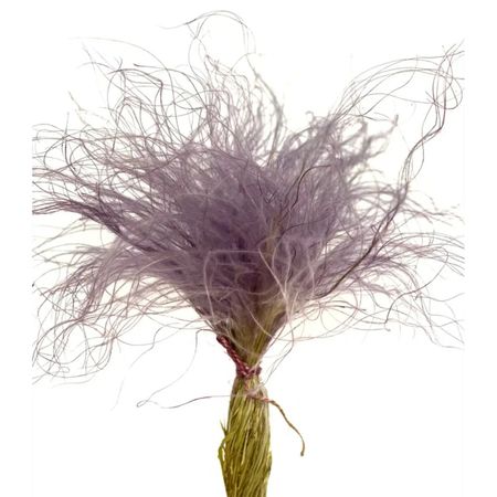 Сухоцвет Donna Flor стифа ковыль 25 г, сиреневый, 40 см