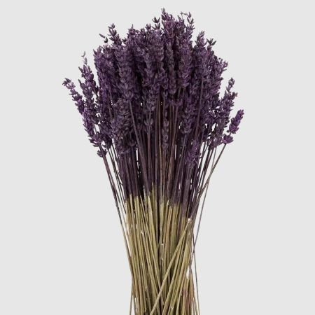 Сухоцветы Donna Flor лаванда французская, сиреневая, 40 см