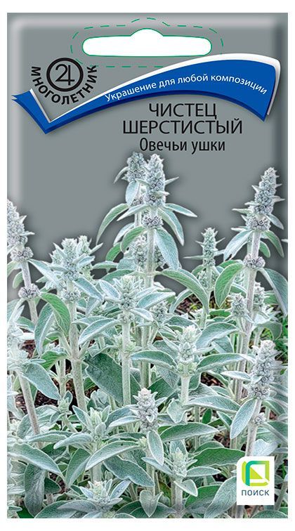 Семена Поиск Чистец шерстистый Овечьи ушки, 0,1 г кейси уэст расстояние между нами