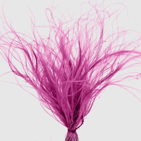 Сухоцвет Donna Flor стифа ковыль 25 г, фуксия 40 см