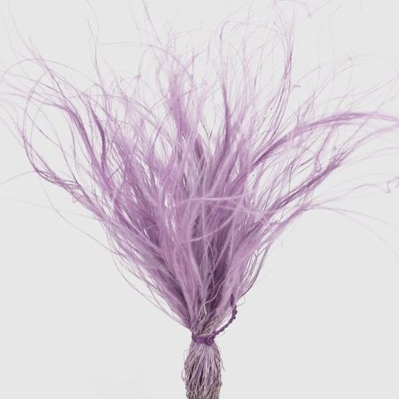 Сухоцвет Donna Flor стифа ковыль 25 г, фиолетовый 40 см
