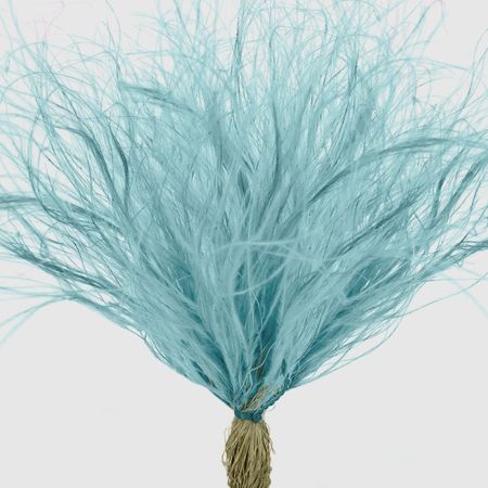 Сухоцвет Donna Flor стифа ковыль 25 г, мята, 40 см