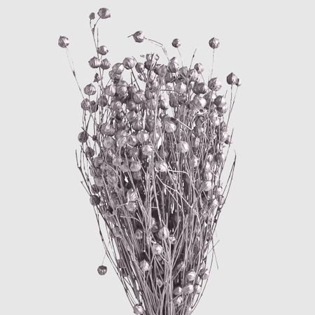 Сухоцветы Donna Flor лён-долгунец 50 г, серебристый, 55-60 см