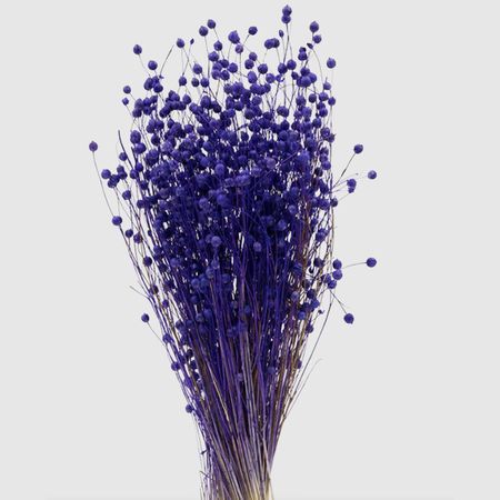 Сухоцветы Donna Flor лён-долгунец 50 г, фиолетовый, 55-60 см