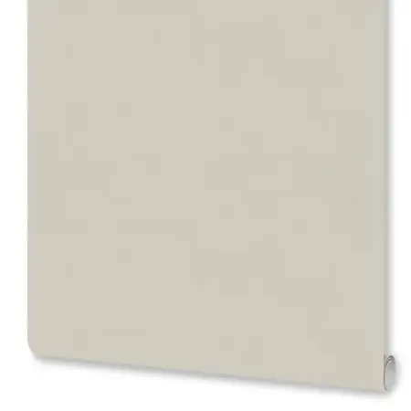 Обои флизелиновые Euro Decor Physalis бежевые 1.06 м ED7308-01