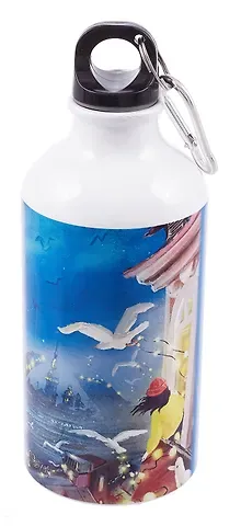 Бутылка с карабином СПб Ноксо Наедине с Петербургом Чайки и гирлянды (металл) (500мл) (БМ2025-55)