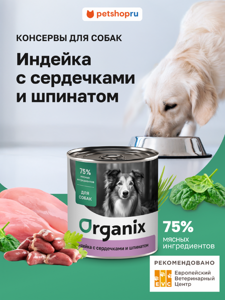 Холистики Organix консервы Консервы для собак Индейка с сердечками и шпинатом. Влажный корм (100 г)