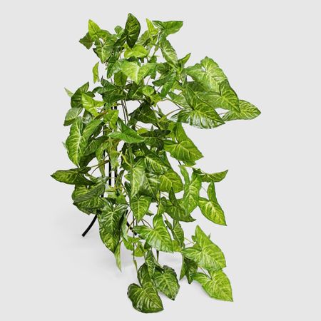 Лиана сингониум Конэко-О искусственная