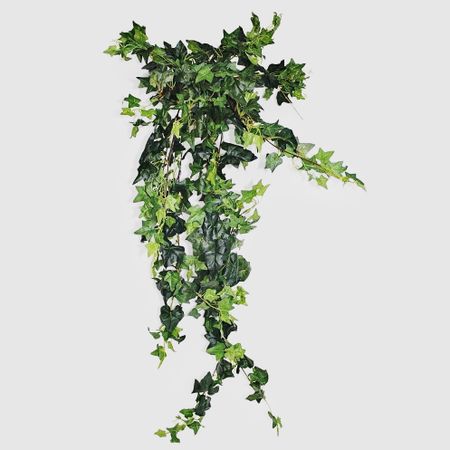 Лиана Конэко-О искусственная в кашпо 80 см