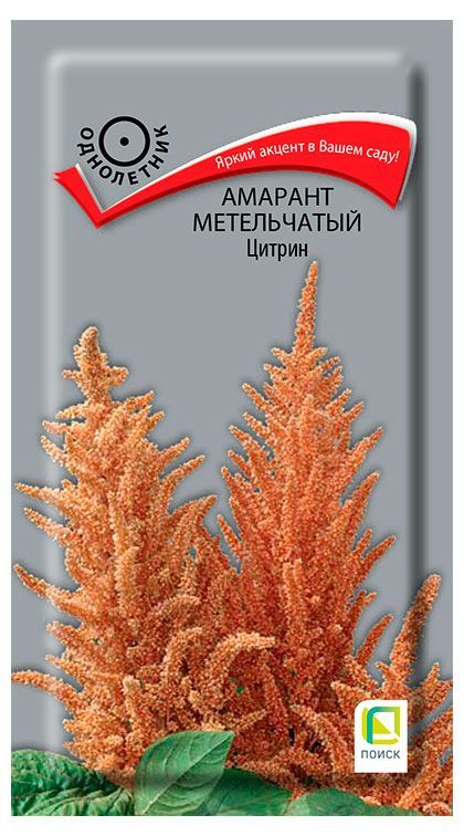 Семена Поиск Амарант метельчатый Цитрин, 0,05 г александр павлович морозов колины сны