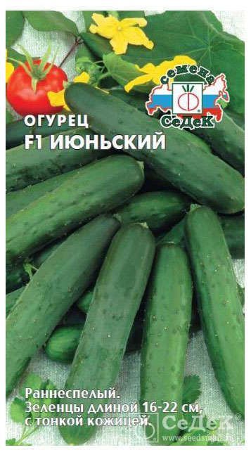 Семена Огурец СеДеК Июньский F1, 0.2 г цилиндрические фундаменты оболочки