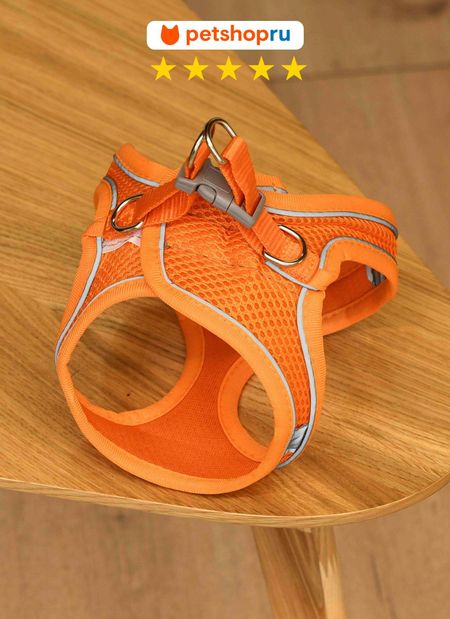 Ошейники, шлейки PETSHOP Шлейка для собак, XL (XL) внезапно