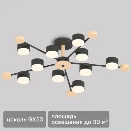 Люстра потолочная Лоре SF5511/10C-BK-WD 10 ламп 24 м² цвет черный