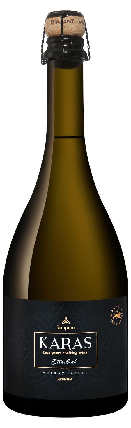 Игристое вино Tierras de Armenia Karas белое брют Армения, 0,75 л ancient written sourcs of european nations about their ancestral homeland armenia and armenians