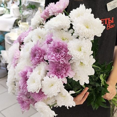 Букет живых цветов ЦВЕТЫ ДЛЯ ВАС Букет из 11 кустовых хризантем белых и розовых