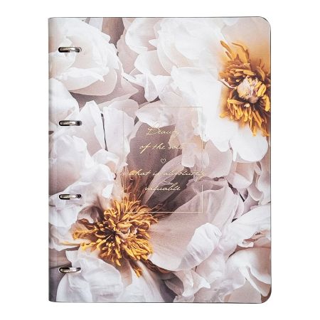 Тетрадь общая, Infolio Study, 240х310 мм, 120 л., клетка, кольцевой механизм. Коллекция 