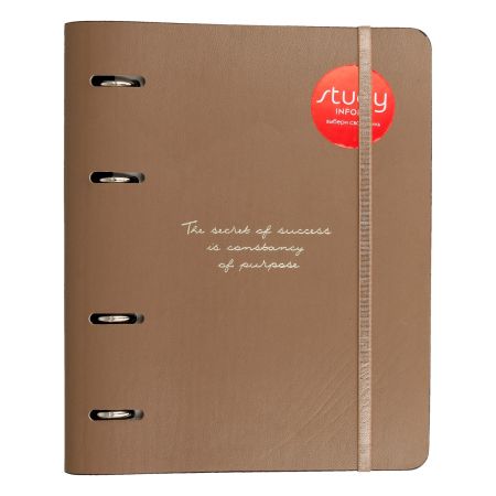 Тетрадь общая, Infolio Study, 175х212 мм, 120 л., клетка, кольцевой механизм. Коллекция 