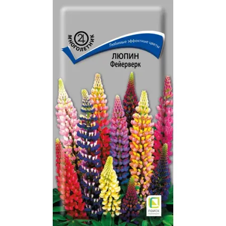 Семена цветов Поиск люпин Фейерверк