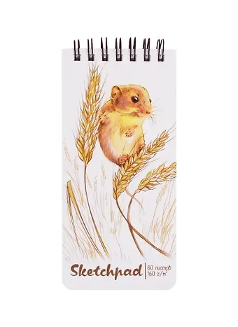 Скетчбук 105*220 80л 