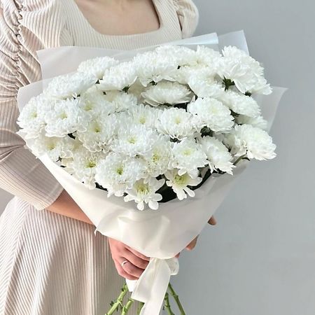 Букет живых цветов VIBE СТУДИЯ ЦВЕТОВ И ПОДАРКОВ Букет пышных хризантем - «Белый лебедь»