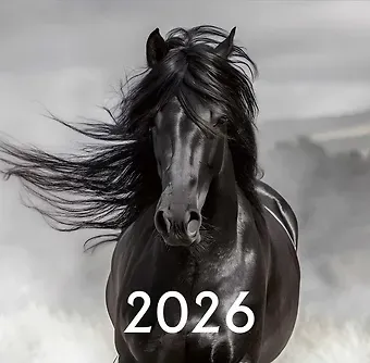 Календарь 2026г 300*290 