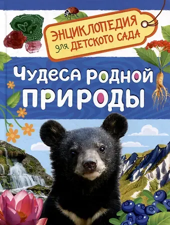 Лариса Владимировна Клюшник Энциклопедия для детского сада. Чудеса родной природы