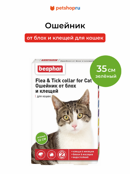 Для дома Beaphar Ошейник от блох и клещей для кошек, зеленый (35 см)