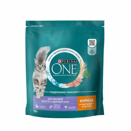 Сухие корма Purina ONE для взрослых кошек для красивой шерсти, здоровой кожи, с высоким содержанием курицы и злаками (750 г)