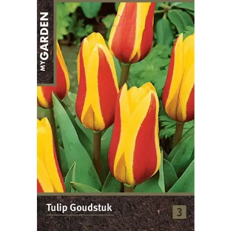 Тюльпан гибрид Кауфмана Гоудстук луковицы 10