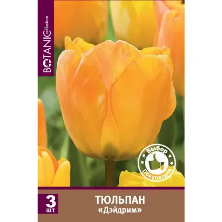 Тюльпан Дарвинов гибрид Дэйдрим луковицы 10/11