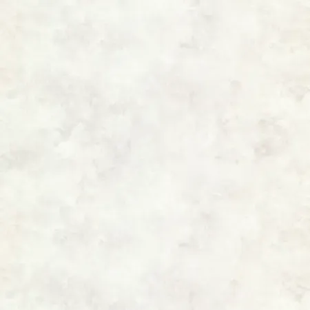 Обои флизелиновые KREAFORTA Banff белые 1.06 м 77016-12 искусственные белые ветки сосны