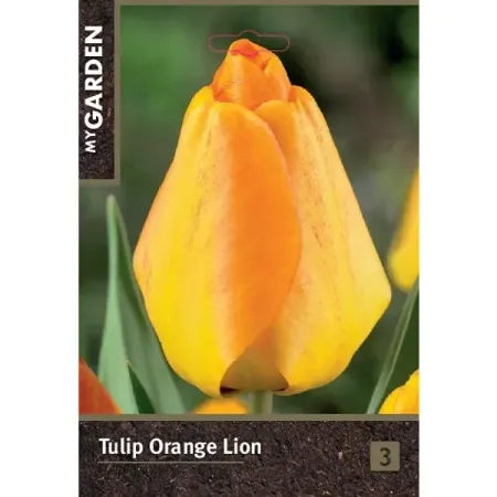 Тюльпан Дарвинов гибрид Оранж Лион луковицы 10