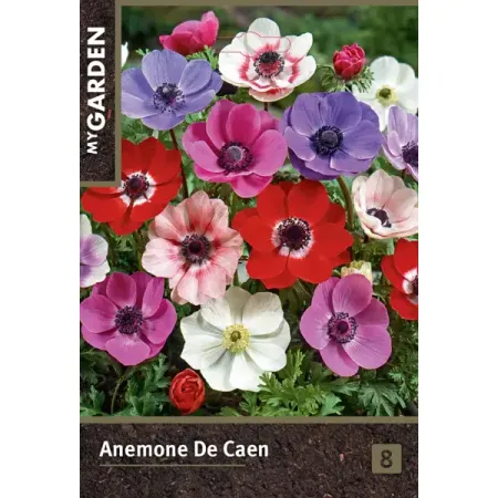 Анемона Де Каен микс луковицы 5/6