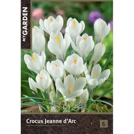 Крокус весенний Жанна Д'арк луковицы 7/8 светлана михайловна буянова жанна владимировна коробанова юлия евгеньевна овчинникова общий психологический практикум учебник