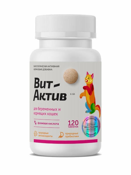 Витамины и добавки Фармакс Биологически активная кормовая добавка Вит-Актив для беременных и кормящих кошек (120 таб.)