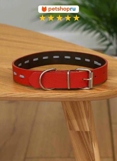 Ошейники, шлейки PETSHOP Ошейник для собак (35-45 см)