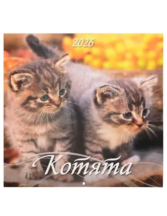 Календарь 2026г 285*285 