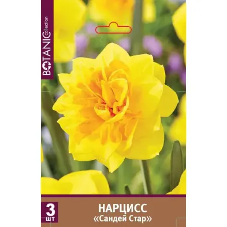 Нарцисс махровый Сандей Стар луковицы 12/14