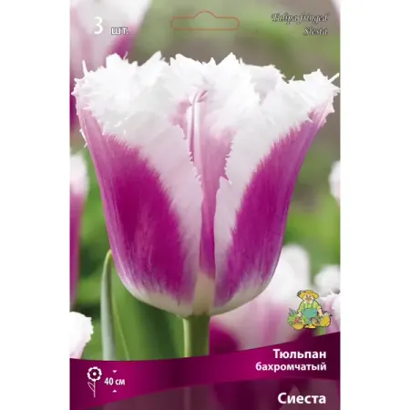 Тюльпан бахромчатый Сиеста 3 Шт 10/11, 3 шт. рождественские украшения из акрила снежинки 18 штук