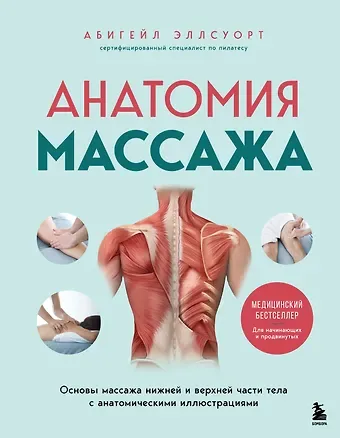 Абигейл Эллсуорт Анатомия массажа. Основы массажа нижней и верхней части тела с анатомическими иллюстрациями