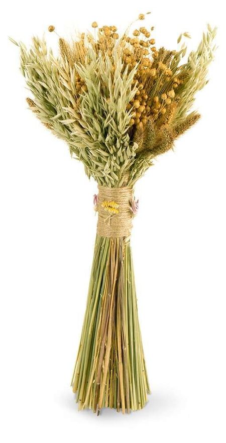 Сухой букет Домашняя кухня из колосьев льна, 48 см марина медведева невесты траурный букет