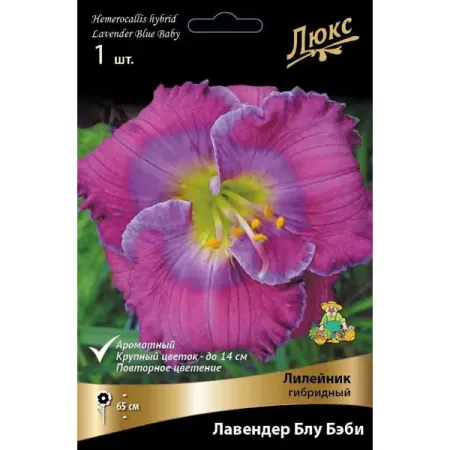 Лилейник гибридный Лавендер Блу Бэби луковица I гастробене бэби порошок для приема внутрь саше 1г 10шт
