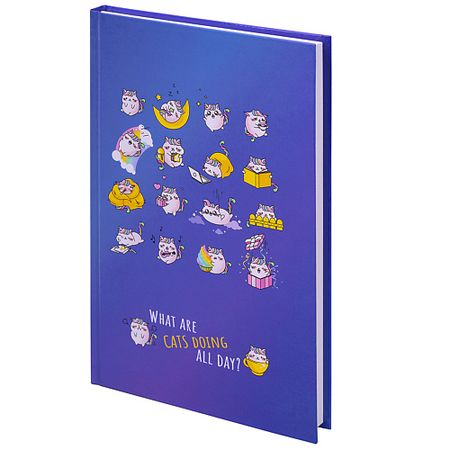 Блокнот BRAUBERG Блокнот А5, твёрдый, клетка KIDS, Радужные котики лазерные пакеты пэт cpp радужные 7x10 см