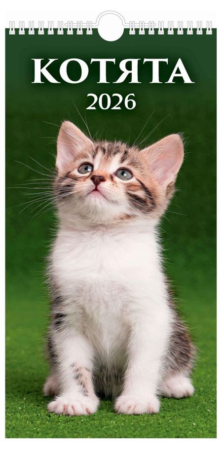 Календарь настенный перекидной Дитон Котята на спирали 2026 г, 16х32 см