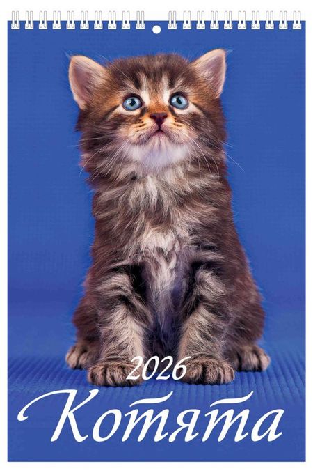 Календарь настенный перекидной Дитон Котята на спирале 2026, 17х25 см сергей владимирович михалков котята