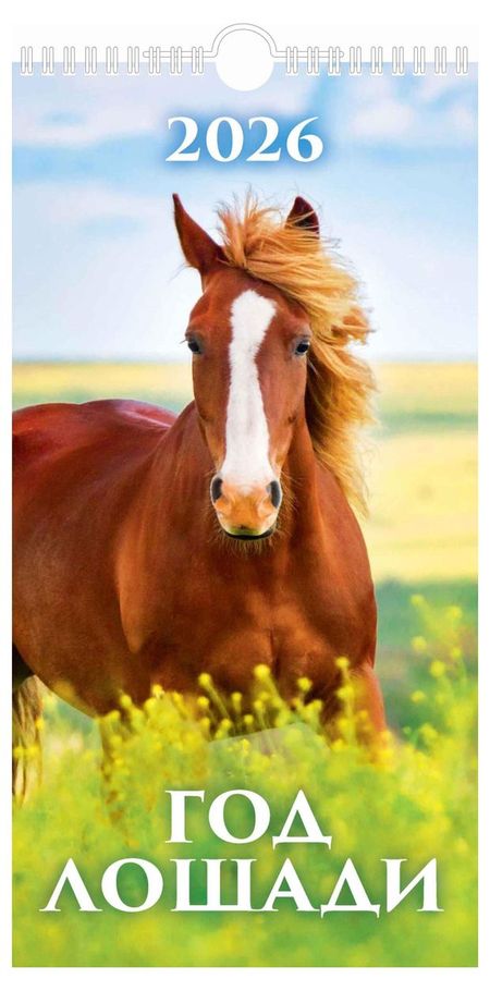 Календарь настенный перекидной Дитон Год лошади на спирали 2026 г, 16х32 см