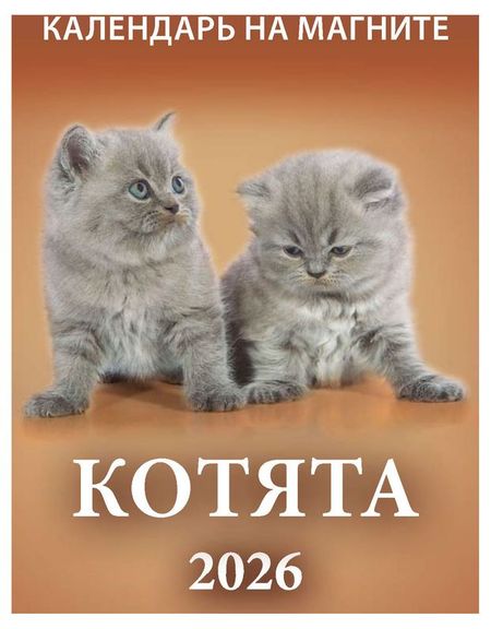 Календарь на магните отрывной Дитон Котята 2026 г, 96х135 мм