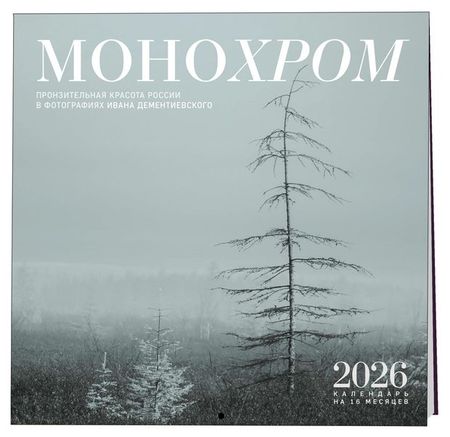 Календарь настенный Эксмо Монохром Пронзительная красота России на 2026 год, 300х300 мм